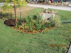 Low Impact Development